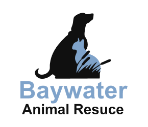 Baywater Animal Rescue