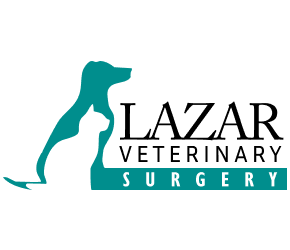 Lazar Veterinary Surgical Specialists
