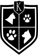 kenwood logo badge