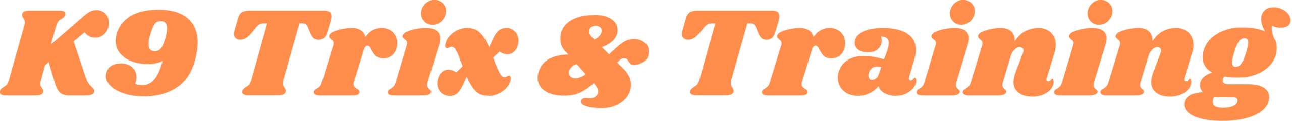 training logo
