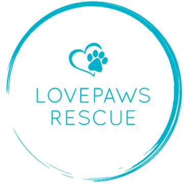 Love Paws Rescue